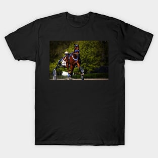 harness horse cart racing T-Shirt